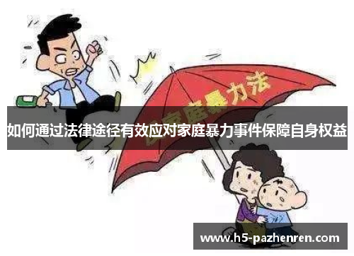 如何通过法律途径有效应对家庭暴力事件保障自身权益