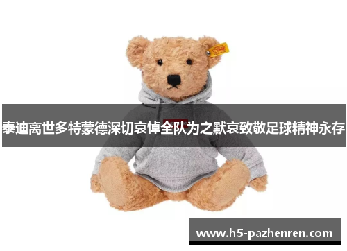 泰迪离世多特蒙德深切哀悼全队为之默哀致敬足球精神永存