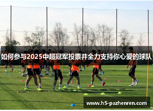 如何参与2025中超冠军投票并全力支持你心爱的球队 如何参与2025中超冠军投票并全力支持你心爱的球队