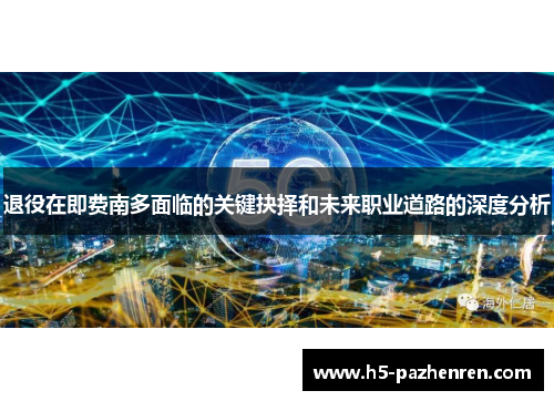 退役在即费南多面临的关键抉择和未来职业道路的深度分析