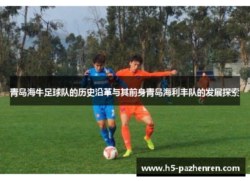青岛海牛足球队的历史沿革与其前身青岛海利丰队的发展探索