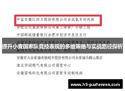 提升小麦国家队竞技表现的多维策略与实战路径探析 提升小麦国家队竞技表现的多维策略与实战路径探析