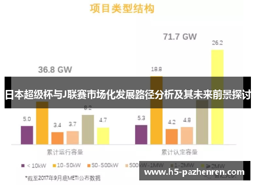 日本超级杯与J联赛市场化发展路径分析及其未来前景探讨 日本超级杯与J联赛市场化发展路径分析及其未来前景探讨