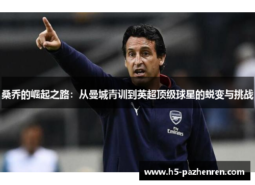 桑乔的崛起之路:从曼城青训到英超顶级球星的蜕变与挑战 桑乔的崛起之路:从曼城青训到英超顶级球星的蜕变与挑战
